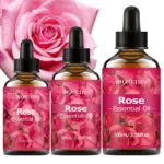 Rose Essential Oil, Elegant Floral Fragrance Oil for Diffusers, DIY Scented Crafts & Aromatherapy, Soft Romantic Aroma