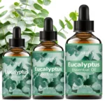 Eucalyptus Essential Oil, Fresh Herbal Fragrance Oil for Diffusers, DIY Crafts & Aromatherapy, Cool and Clean Aroma
