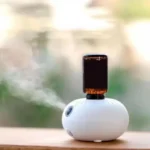 Waterless Essential Oil Diffuser USB Rechargeable Nebulizing Aroma Diffuser for Large Room Home Aromatherapy
